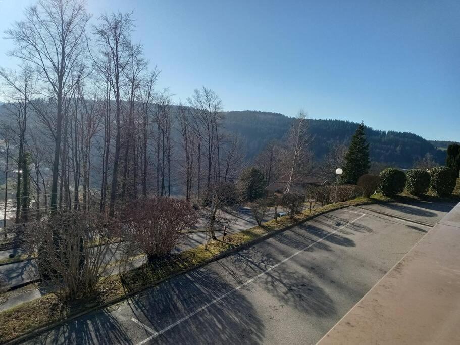 Duplex - Proche De Gerardmer Ле-Толи Экстерьер фото